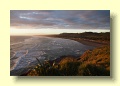 P4190117_Muriwai _Beach